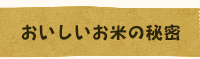 おいしいお米の秘密