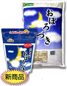 金王冠 おぼろづき