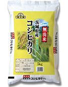 無洗米 茨城コシヒカリ