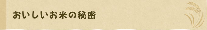 会社案内