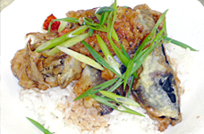 幸福料理会