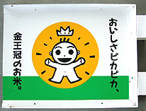 看板【1】表